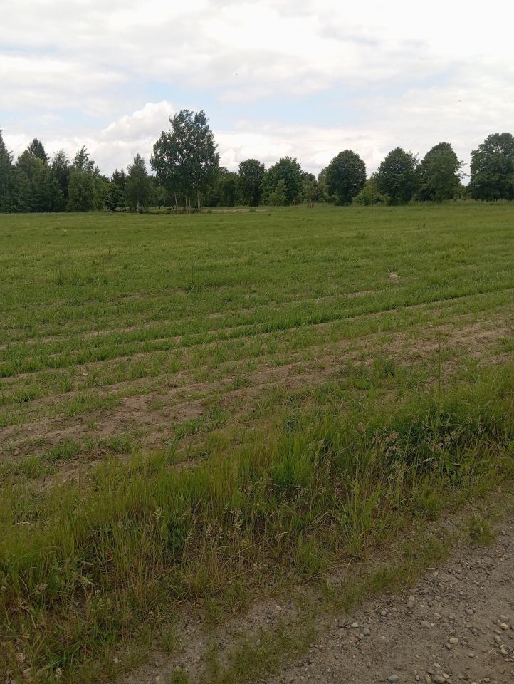 gospodarstwo Krzucz. Zdjęcie 15