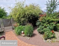 dom wolnostojący, 5 pokoi Ciachcin. Zdjęcie 3