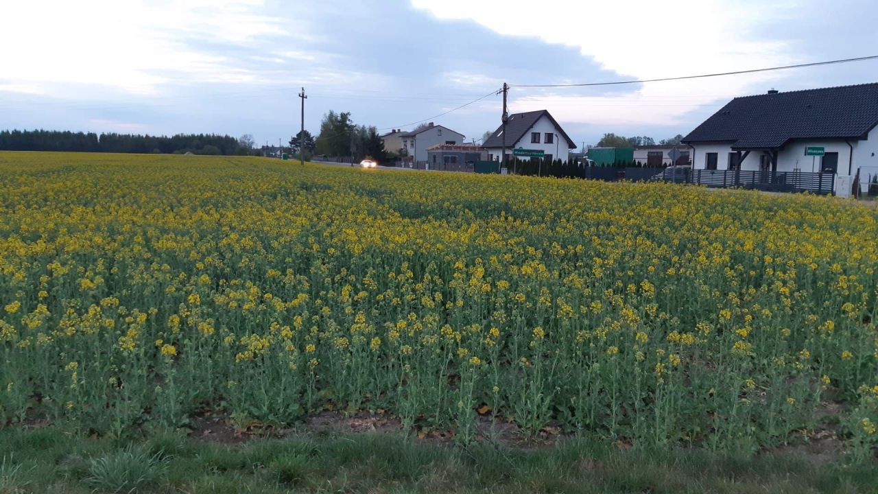 Działka budowlana Młodojewo