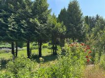 Działka rod Warszawa Siekierki. Zdjęcie 2