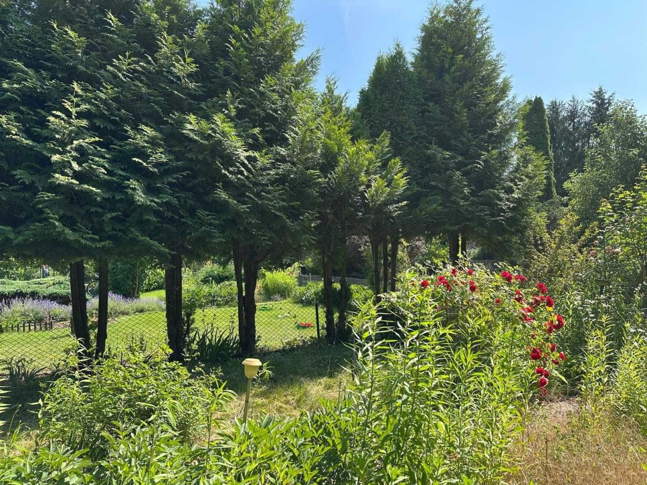 Działka rod Warszawa Siekierki. Zdjęcie 3