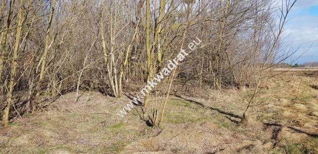 Działka budowlana Sochaczew. Zdjęcie 1