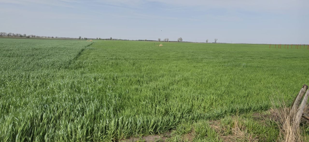dom wolnostojący, 4 pokoje Goślinowo, -. Zdjęcie 10