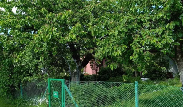 Działka rod Konin, ul. Zakładowa
