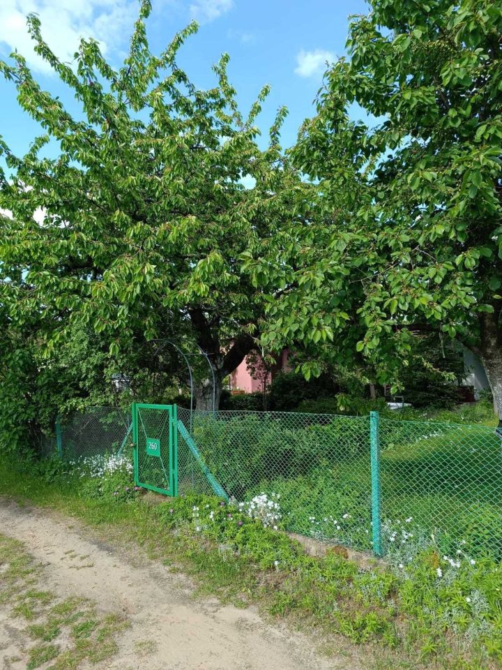 Działka rod Konin, ul. Zakładowa. Zdjęcie 1
