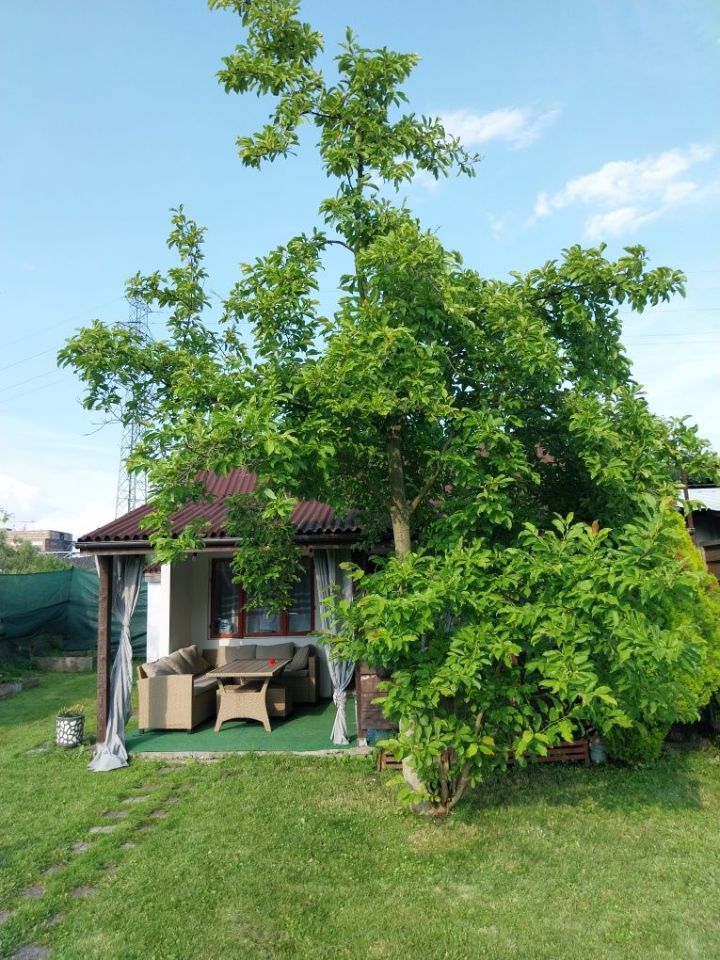 Działka rod Knurów Szczygłowice. Zdjęcie 2
