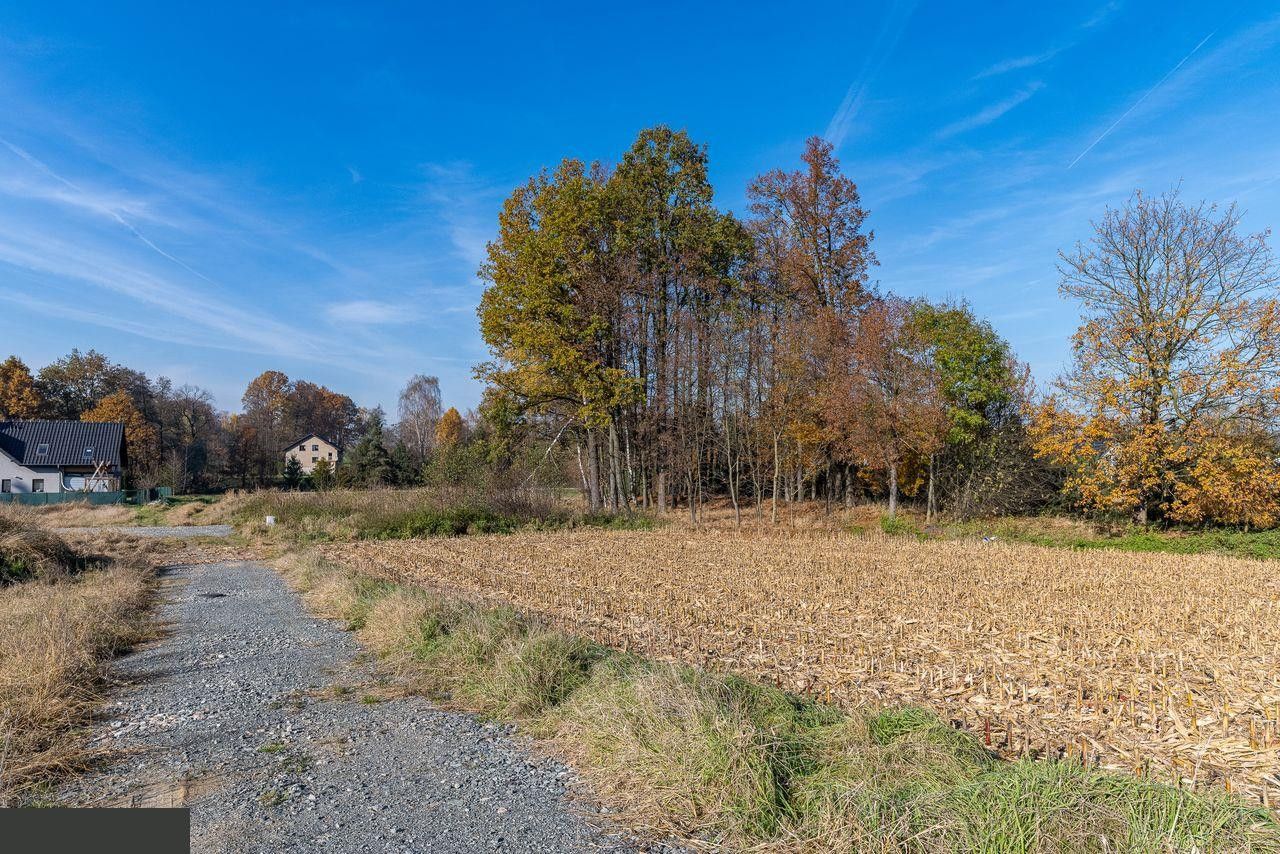 Działka budowlana Bestwina, ul. gen. Józefa Hallera. Zdjęcie 14