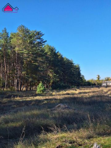 Działka budowlana Żółwieniec. Zdjęcie 9