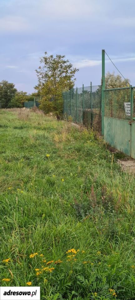 Działka inwestycyjna Grabów. Zdjęcie 7