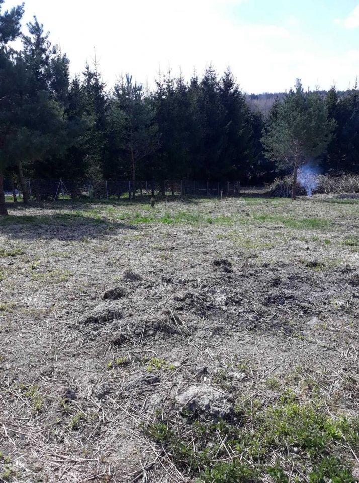 Działka rolno-budowlana Patryki. Zdjęcie 4