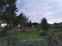 Działka rod Żnin. Zdjęcie 1