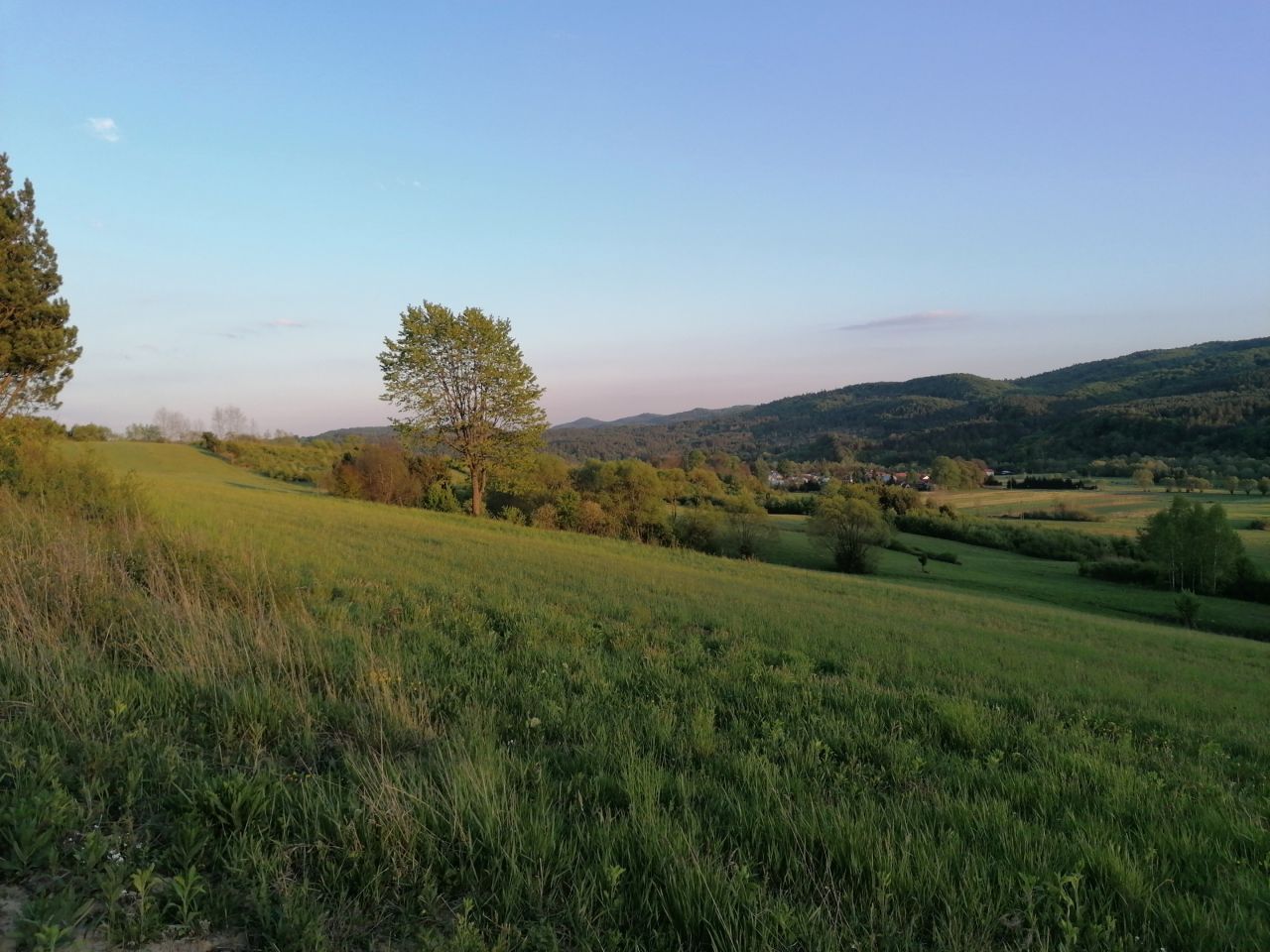 Działka rekreacyjna Rybotycze. Zdjęcie 20