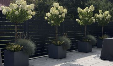 bliźniak, 4 pokoje Zelczyna