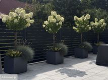 bliźniak, 4 pokoje Zelczyna. Zdjęcie 1