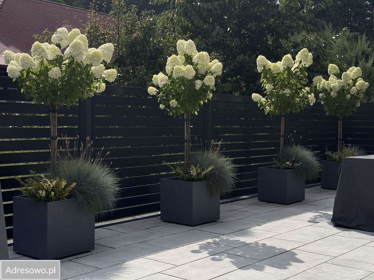 bliźniak, 4 pokoje Zelczyna. Zdjęcie 2