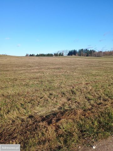 Działka budowlana Żubryn. Zdjęcie 1