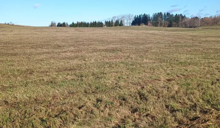 Działka budowlana Żubryn