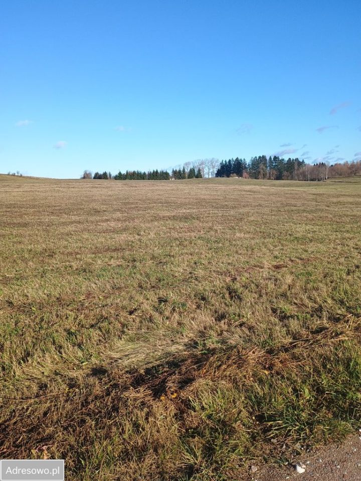 Działka budowlana Żubryn. Zdjęcie 1