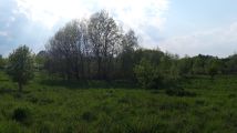 Działka inwestycyjna Liszkowo. Zdjęcie 2
