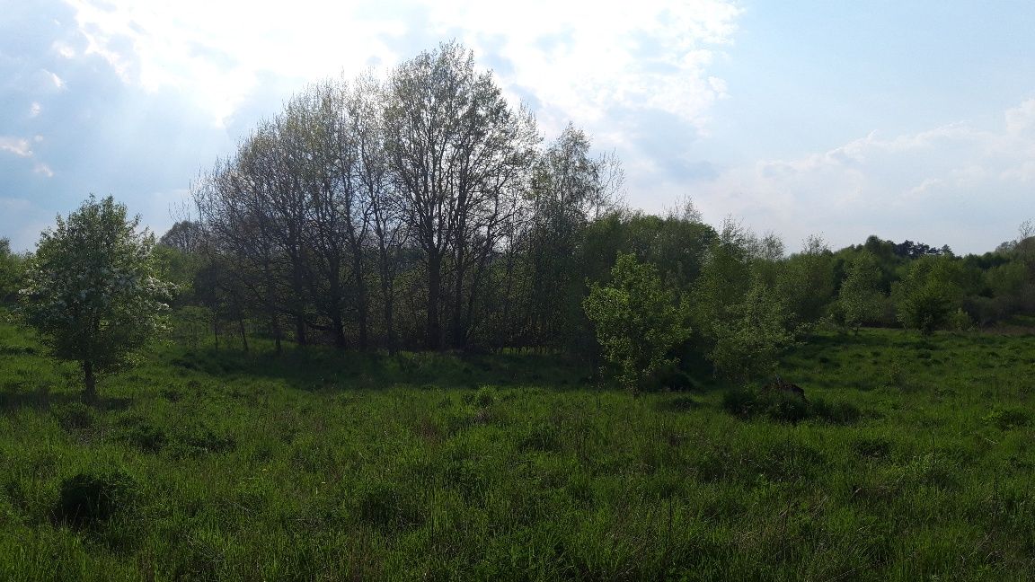 Działka inwestycyjna Liszkowo. Zdjęcie 3