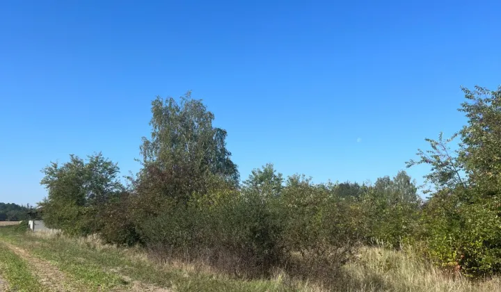 Działka rolno-budowlana Opole Żerkowice, ul. Niemodlińska