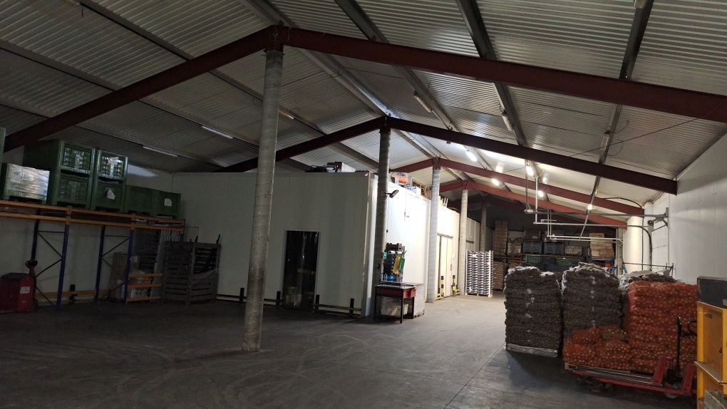 Hala/magazyn Białystok Bacieczki, ul. Przędzalniana. Zdjęcie 4