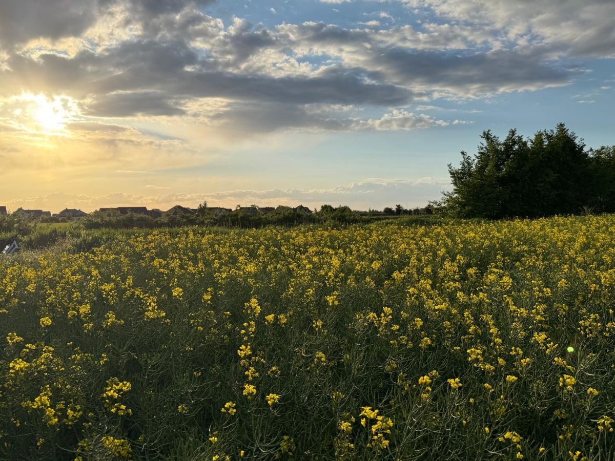 Działka budowlana Żerniki Wrocławskie, ul. Dębowa. Zdjęcie 10