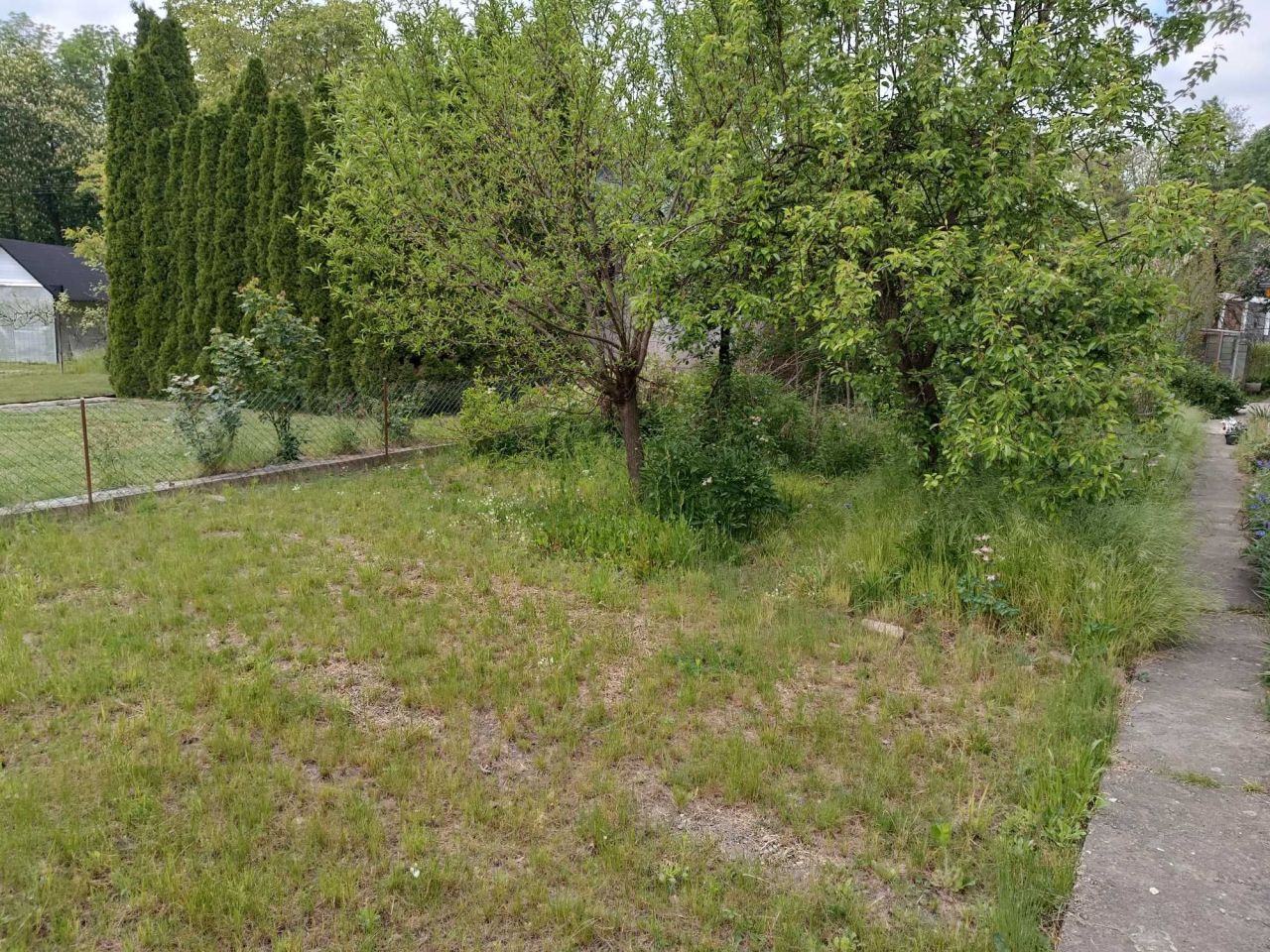 Działka rod Nysa, ul. Bolesława Śmiałego. Zdjęcie 4