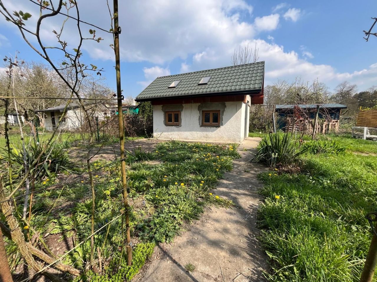 Działka rod Wrocław Śródmieście. Zdjęcie 3