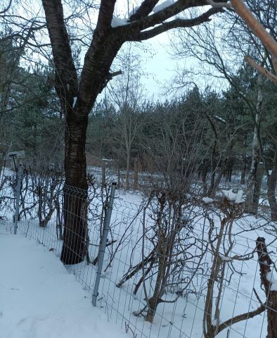 Działka rod Białystok Bagnówka, ul. Krzysztofa Pendereckiego. Zdjęcie 24