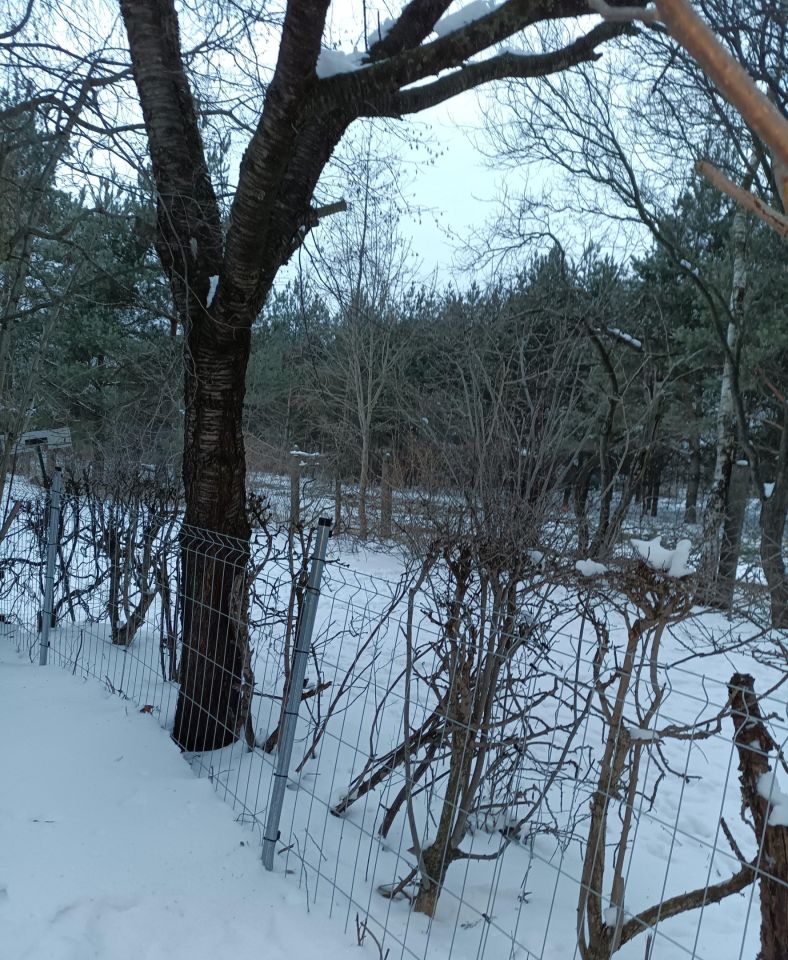 Działka rod Białystok Bagnówka, ul. Krzysztofa Pendereckiego. Zdjęcie 24