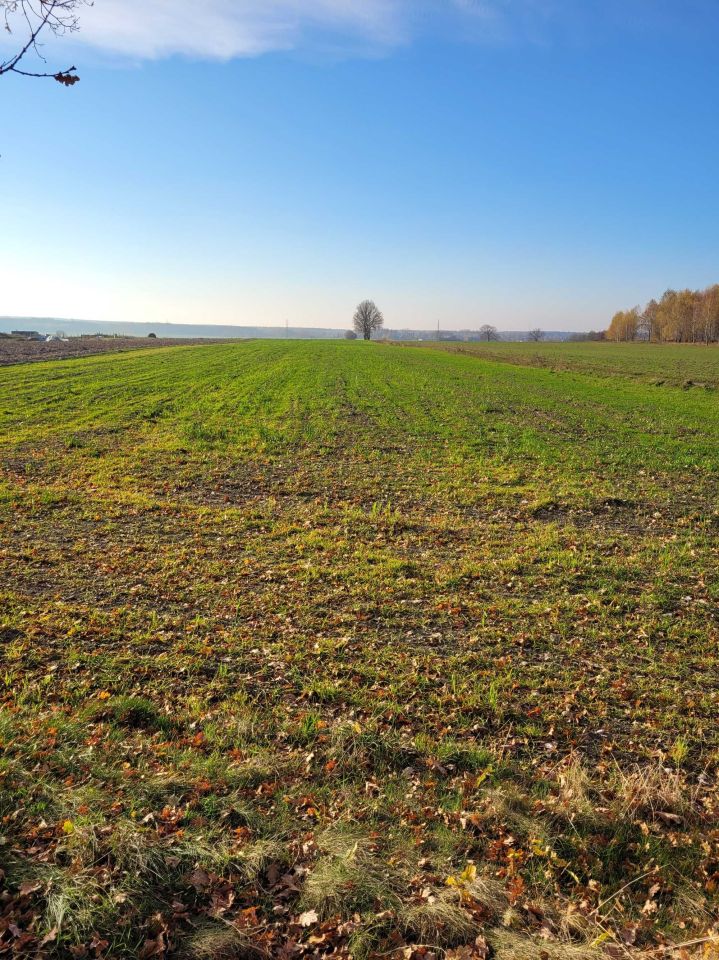 Działka budowlana Grabik. Zdjęcie 5