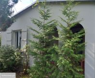 Działka rod Szczaki, ul. Mrokowska. Zdjęcie 4