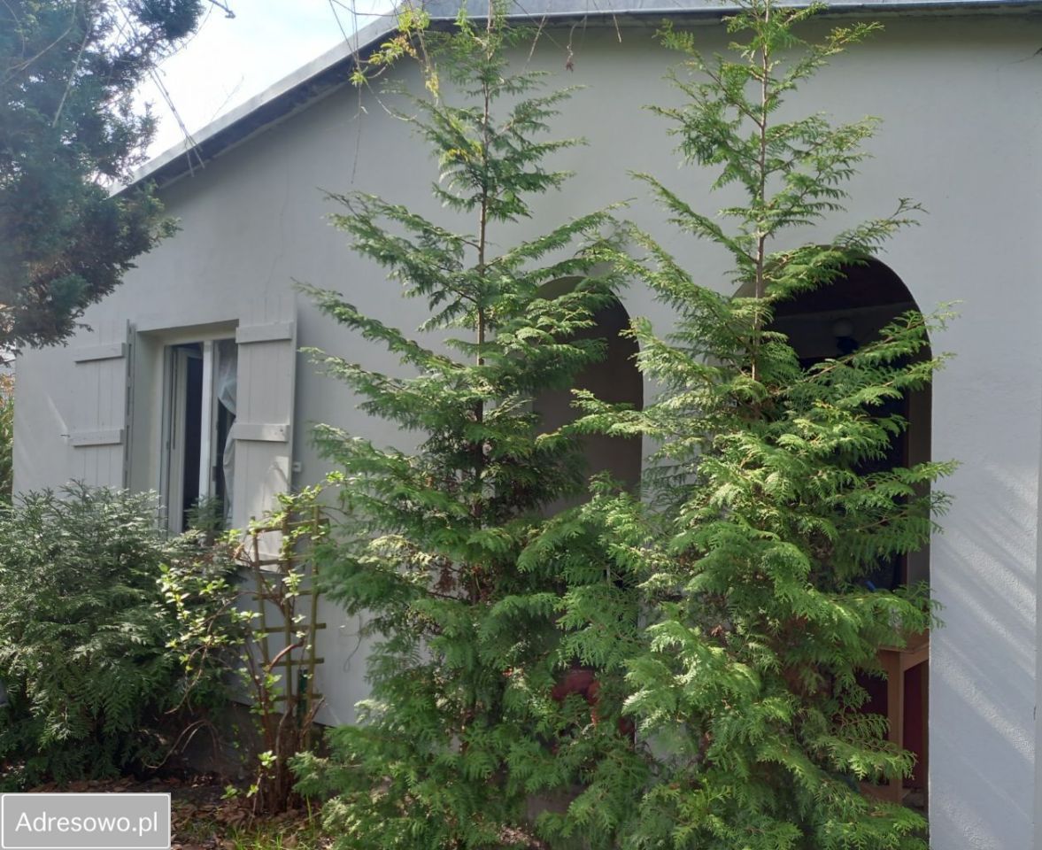 Działka rod Szczaki, ul. Mrokowska. Zdjęcie 5