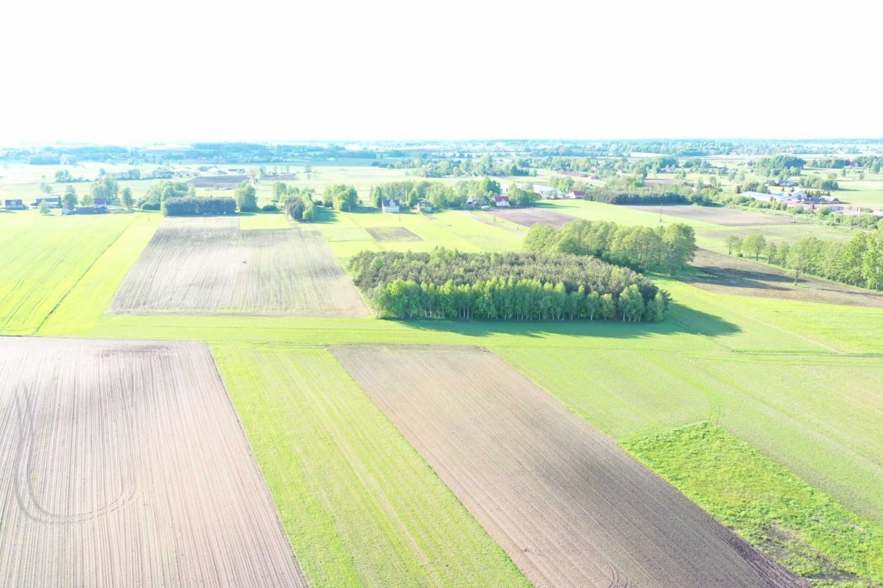 Działka rolno-budowlana Ruda. Zdjęcie 6