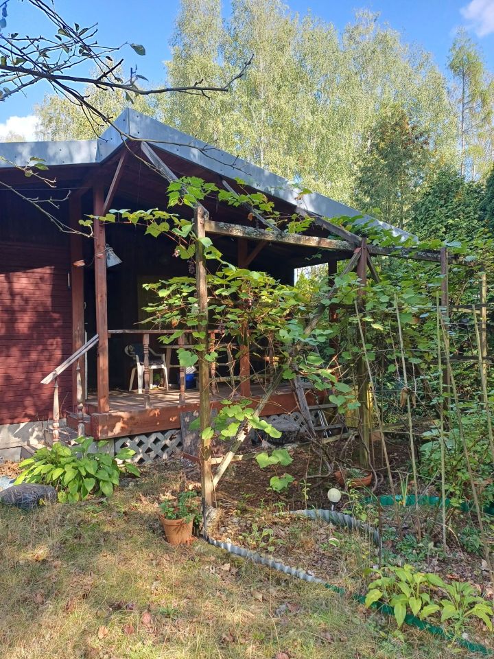 Działka rod Międzyborów. Zdjęcie 3