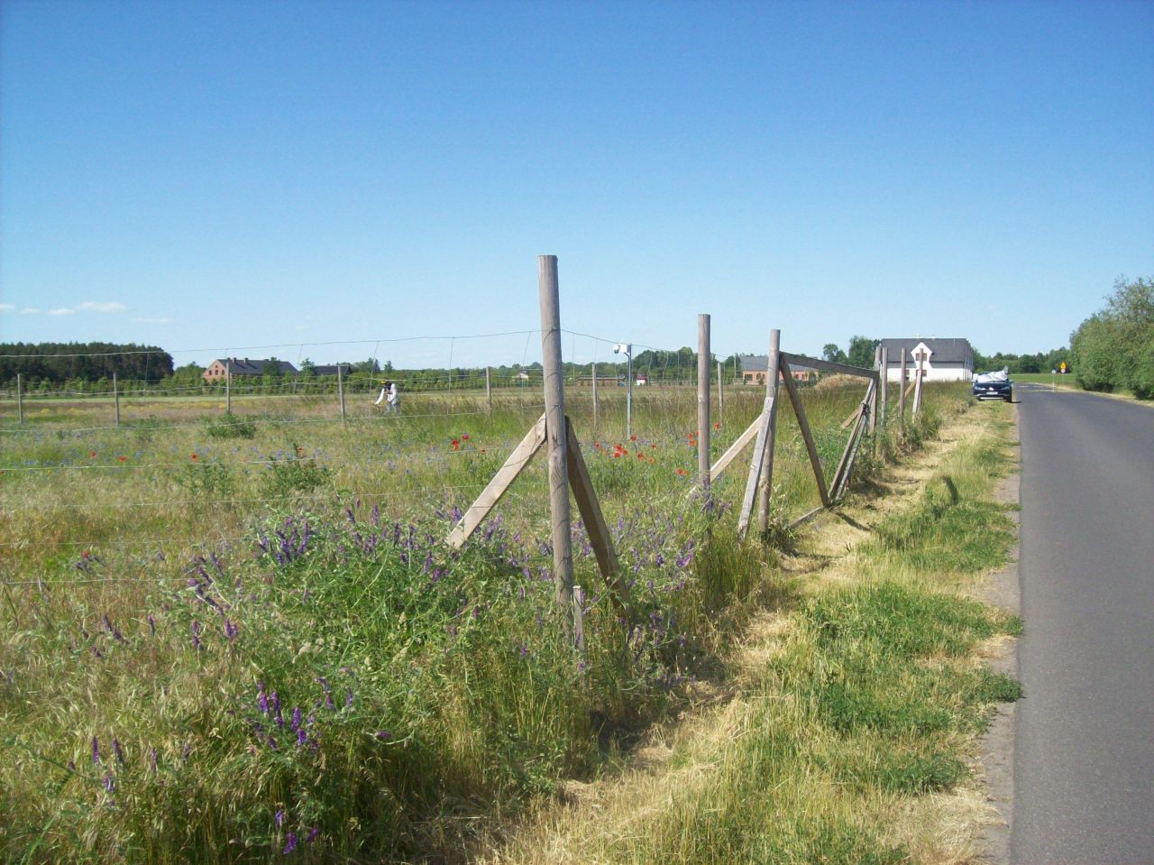 Działka budowlana Pawłowice, ul. Pawłowicka. Zdjęcie 6