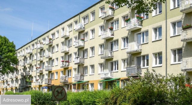 Mieszkanie 3-pokojowe Poznań Winogrady, os. Pod Lipami. Zdjęcie 1