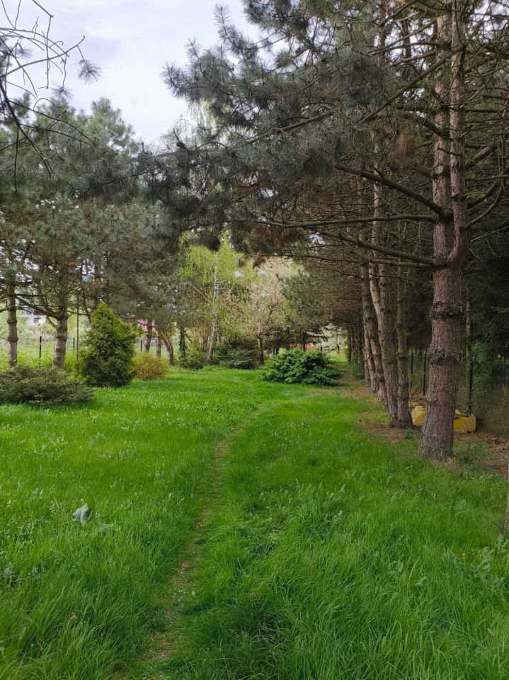 dom wolnostojący Szarów. Zdjęcie 5