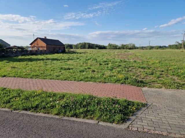 Działka budowlana Zaścienie. Zdjęcie 1