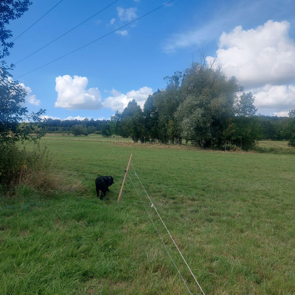 dom wolnostojący, 3 pokoje Proszowa. Zdjęcie 2