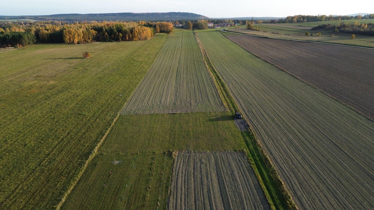 Działka budowlana Wielebnów. Zdjęcie 3