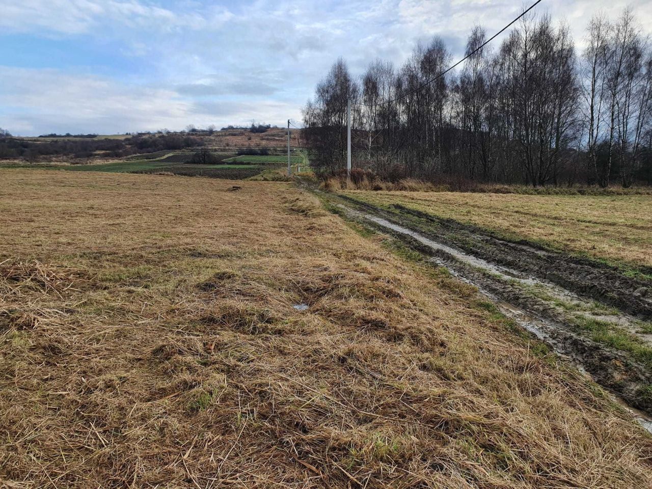 Działka budowlana Zalas. Zdjęcie 5