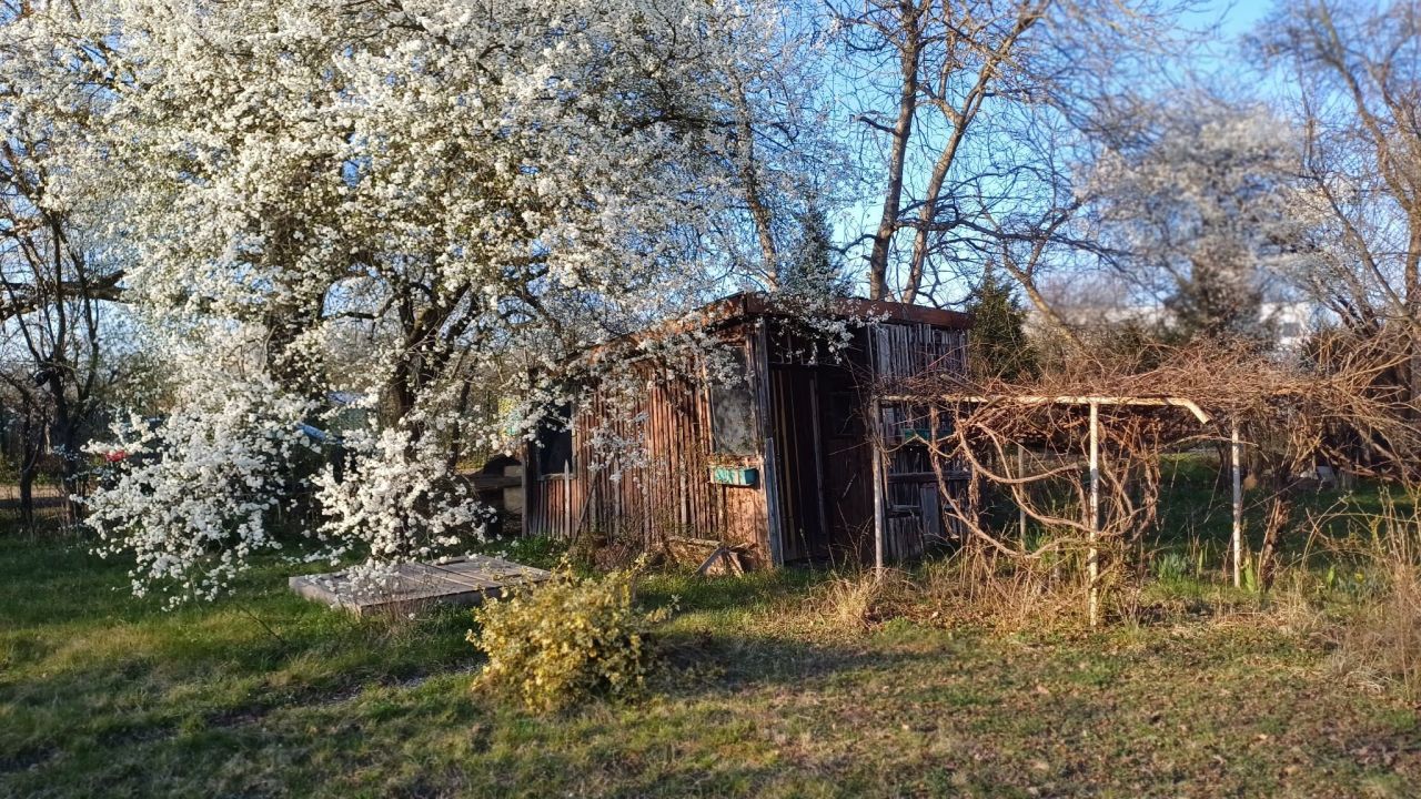 Działka rod Wrocław Psie Pole, ul. Obornicka