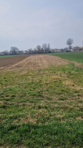 Działka rolna Niwnica. Zdjęcie 1