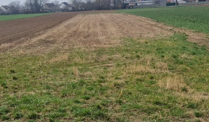 Działka rolna Niwnica