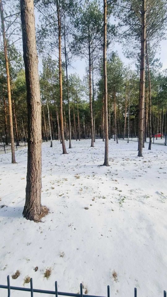 Działka budowlana Radawa Hule, ul. Królewska. Zdjęcie 6
