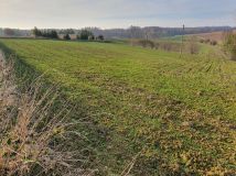 Działka budowlana Józefów-Pociecha. Zdjęcie 3