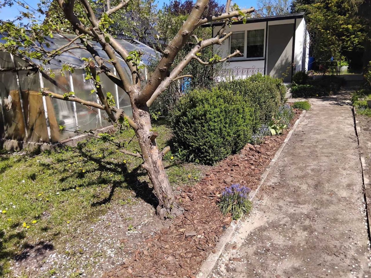 Działka rod Starogard Gdański, ul. Skarszewska. Zdjęcie 3