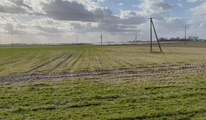 Działka budowlana Chwałkowo